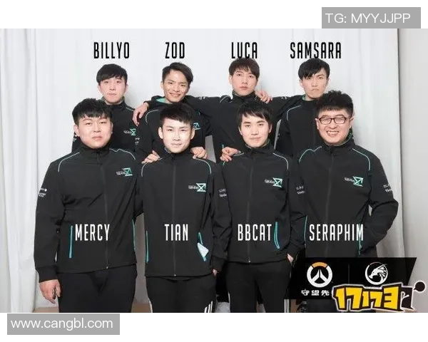 V5战队在职业联赛中的团队协作表现分析与点评