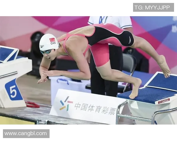 成都排球队技术革新引发热议助力竞技水平提升