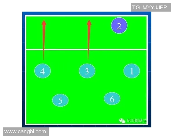 深入分析上海网球队的进攻策略与战术特点探讨