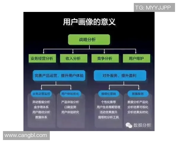 深圳极限运动队的区域防守策略揭秘与深度分析