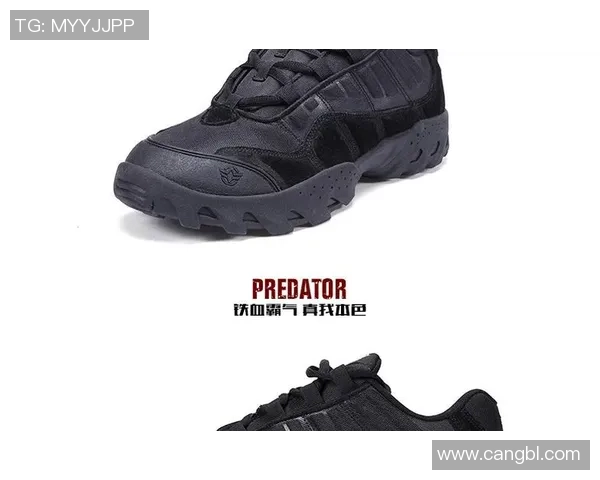 西安攀岩队的战术揭秘与训练策略全解析